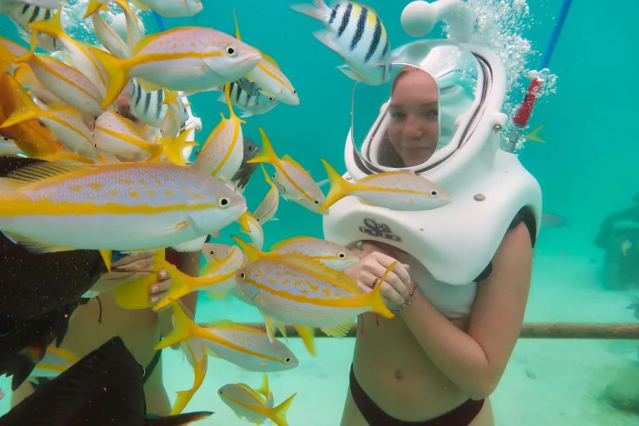 Willa Caya Erasmus 20 Tanki Lender Aruba